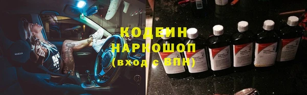 стаф Аркадак