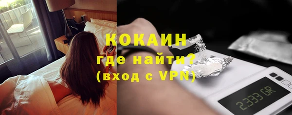 стаф Аркадак