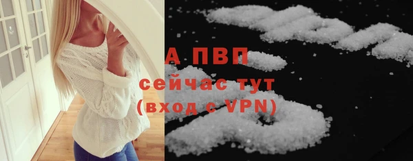 стаф Аркадак