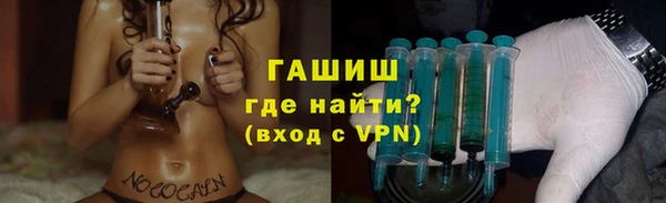 стаф Аркадак