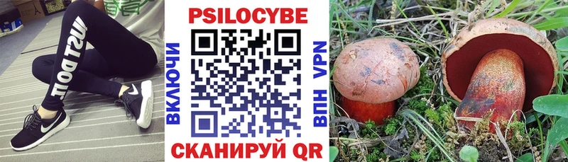 МЕГА   Суворов  Галлюциногенные грибы Magic Shrooms 